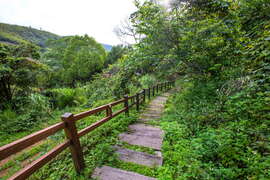 竹坑渓歩道