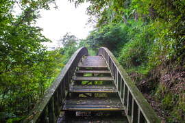 竹坑渓歩道