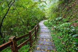 Youth Ridge Trail