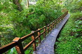 Youth Ridge Trail