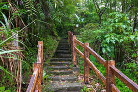 Youth Ridge Trail