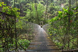 Youth Ridge Trail