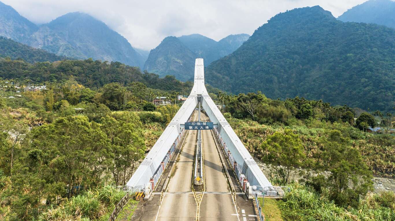 分隔雙向各1個車道及人行步道的中央吊索