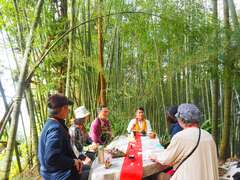 阿里山四季茶の旅　冬の竹林茶会