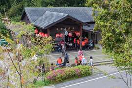 石棹遊歩道群-桜の道