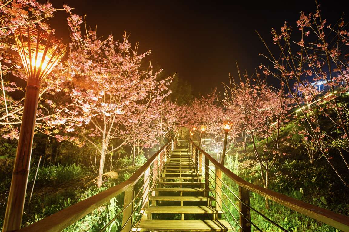 Shizhuo Trails System-The Trail of Cherry Blossom