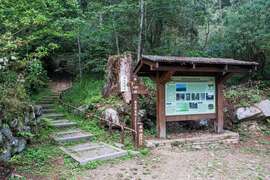 特富野古道