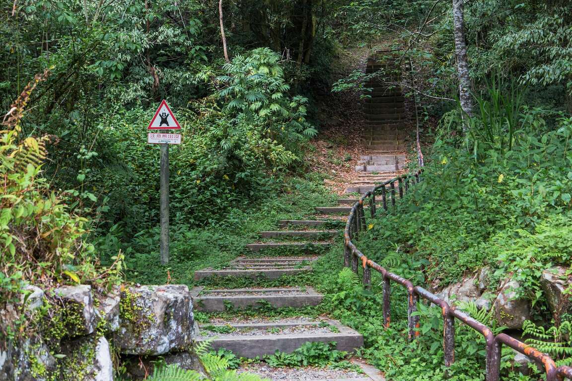 特富野古道上升路途