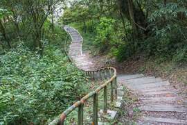 特富野古道