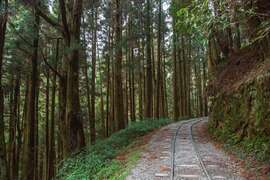 特富野古道