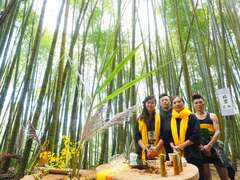 Four Seasons of Alishan Tea Tourism – A Winter Tea Party in the Bamboo Forest