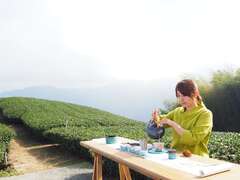 阿里山四季茶の旅　冬の竹林茶会