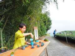 阿里山四季茶の旅　冬の竹林茶会