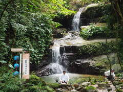 阿里山四季茶の旅　季節の節目に茶を楽しむ