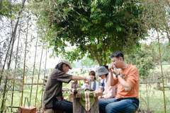 Four Seasons of Alishan Tea Tourism – Tasting tea according to different solar terms.