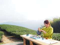 Four Seasons of Alishan Tea Tourism – Tasting tea according to different solar terms.