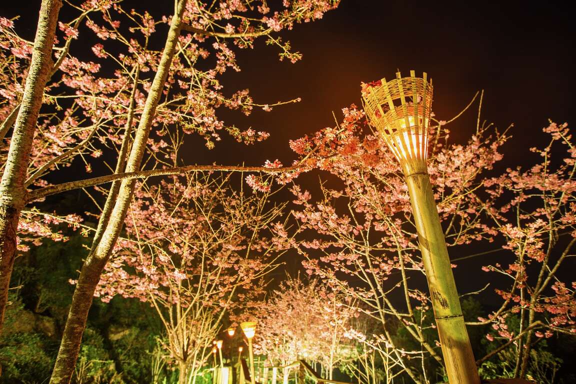 Shizhuo Trails System-The Trail of Cherry Blossom