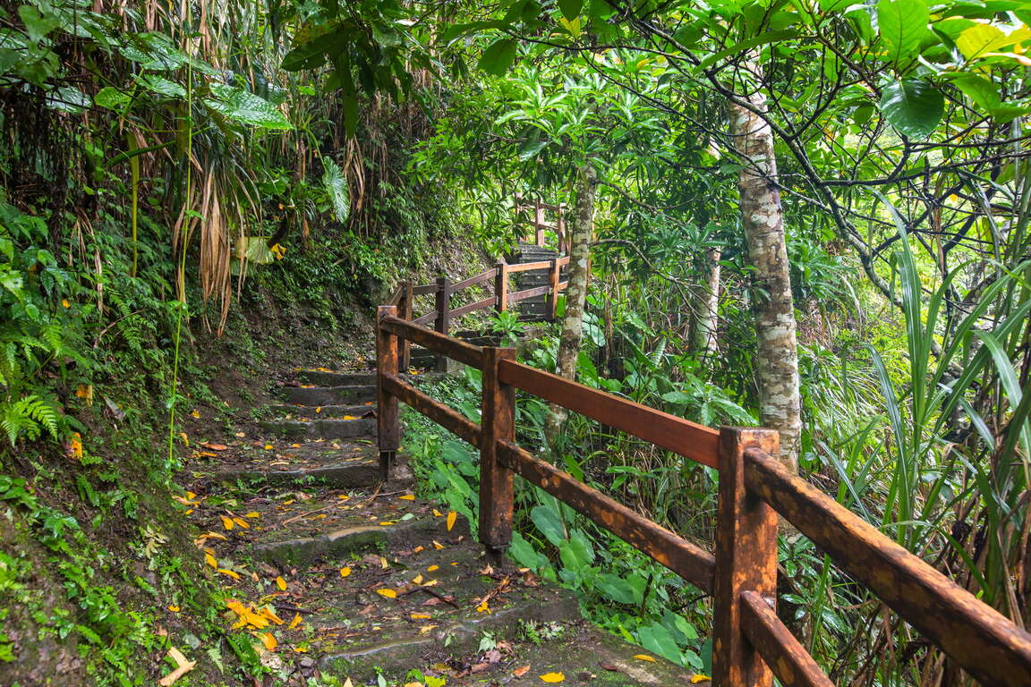 Youth Ridge Trail