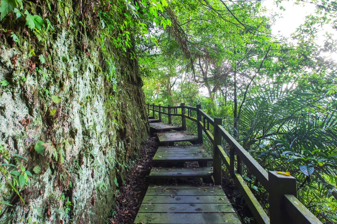 竹坑渓歩道