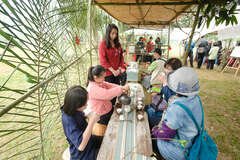 Four Seasons of Alishan Tourism - Spring Equinox Grassland Tea Party New experience of tea-tasting based on solar terms