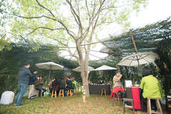 Four Seasons of Alishan Tourism - Spring Equinox Grassland Tea Party New experience of tea-tasting based on solar terms