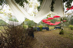 Four Seasons of Alishan Tourism - Spring Equinox Grassland Tea Party New experience of tea-tasting based on solar terms