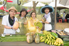 阿里山四季茶の旅　春分草原茶会-季節ごとの茶空間　茶を楽しむ新体験