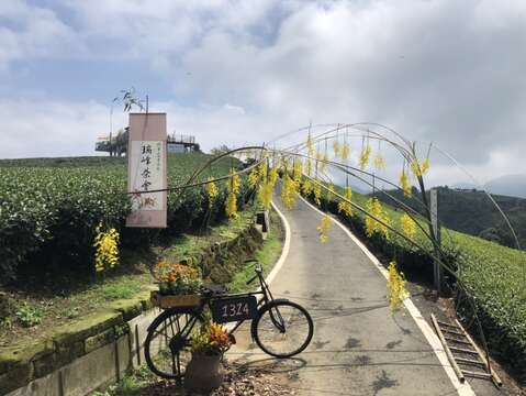 瑞峰茶會迎賓廊道