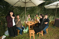 Four Seasons of Alishan Tourism - Spring Equinox Grassland Tea Party New experience of tea-tasting based on solar terms
