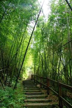 持續恆定向上的階梯步道