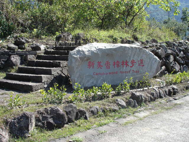 香樟林步道入口處