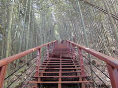 輕鬆易走的特富野步道