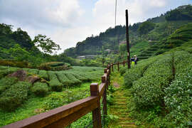 Yejianghua Stream Trail