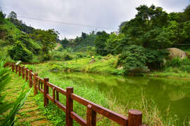 Yejianghua Stream Trail