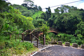 步道中段茶園與森林接壤