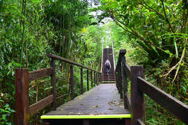 Longding Trail