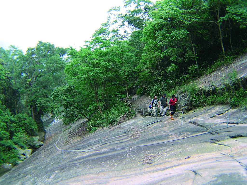 Bangkok Art cliff stone forest