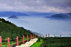 이첨산(二尖山)