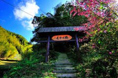 瑞太古道