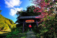 瑞太古道