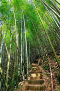 瑞奮古道
