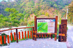 Tefuye Trail(Giant Camphor Trees)