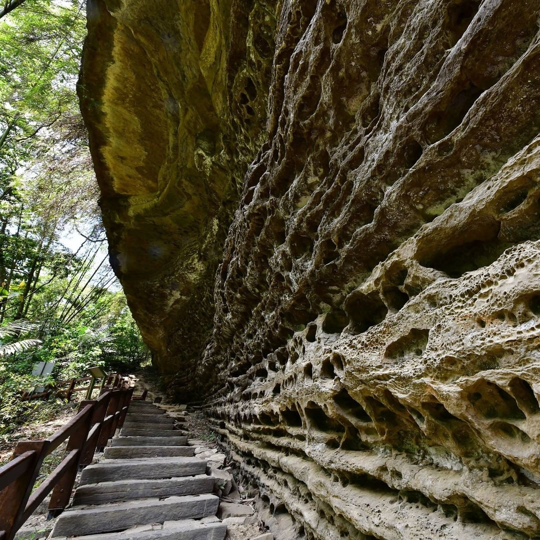 青年嶺步道的岩石 有人會有密集恐懼症嗎❓-⠀⠀⠀⠀⠀⠀⠀⠀⠀⠀⠀⠀⠀⠀⠀⠀⠀⠀⠀⠀⠀ #travelalishan 或 @trav...