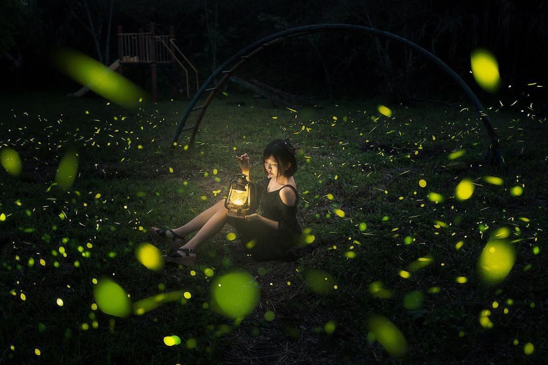今天愚人節但是小編不騙人！阿里山的螢火蟲就是這麼美❤️-⠀⠀⠀⠀⠀⠀⠀⠀⠀⠀⠀感謝 @shengkai_travel 分享的美照-...