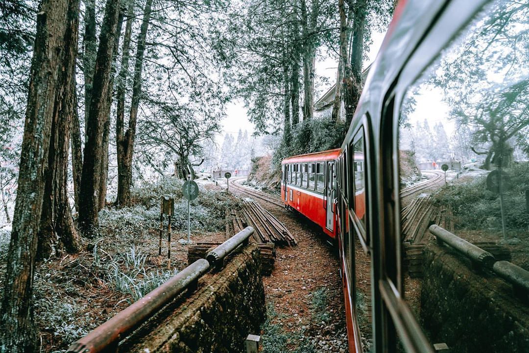 就愛小火車過彎能看到車廂與樹林的那一瞬間-⠀⠀⠀⠀⠀⠀⠀⠀⠀⠀⠀感謝 @chinling_kuo 分享的美照-⠀⠀⠀⠀⠀⠀⠀⠀⠀⠀...