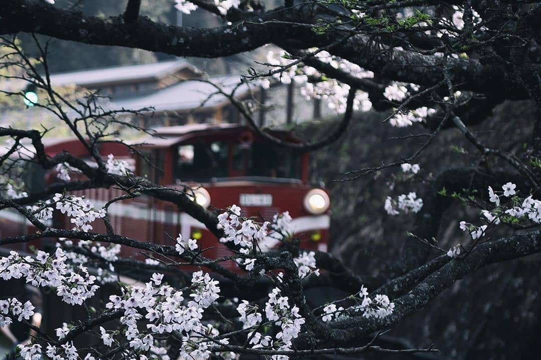 即便在寒冷的畫面裡也因為火車而透出一絲暖意-⠀⠀⠀⠀⠀⠀⠀⠀⠀⠀⠀感謝 @no.x_alice 分享的美照-⠀⠀⠀⠀⠀⠀⠀⠀⠀⠀⠀...