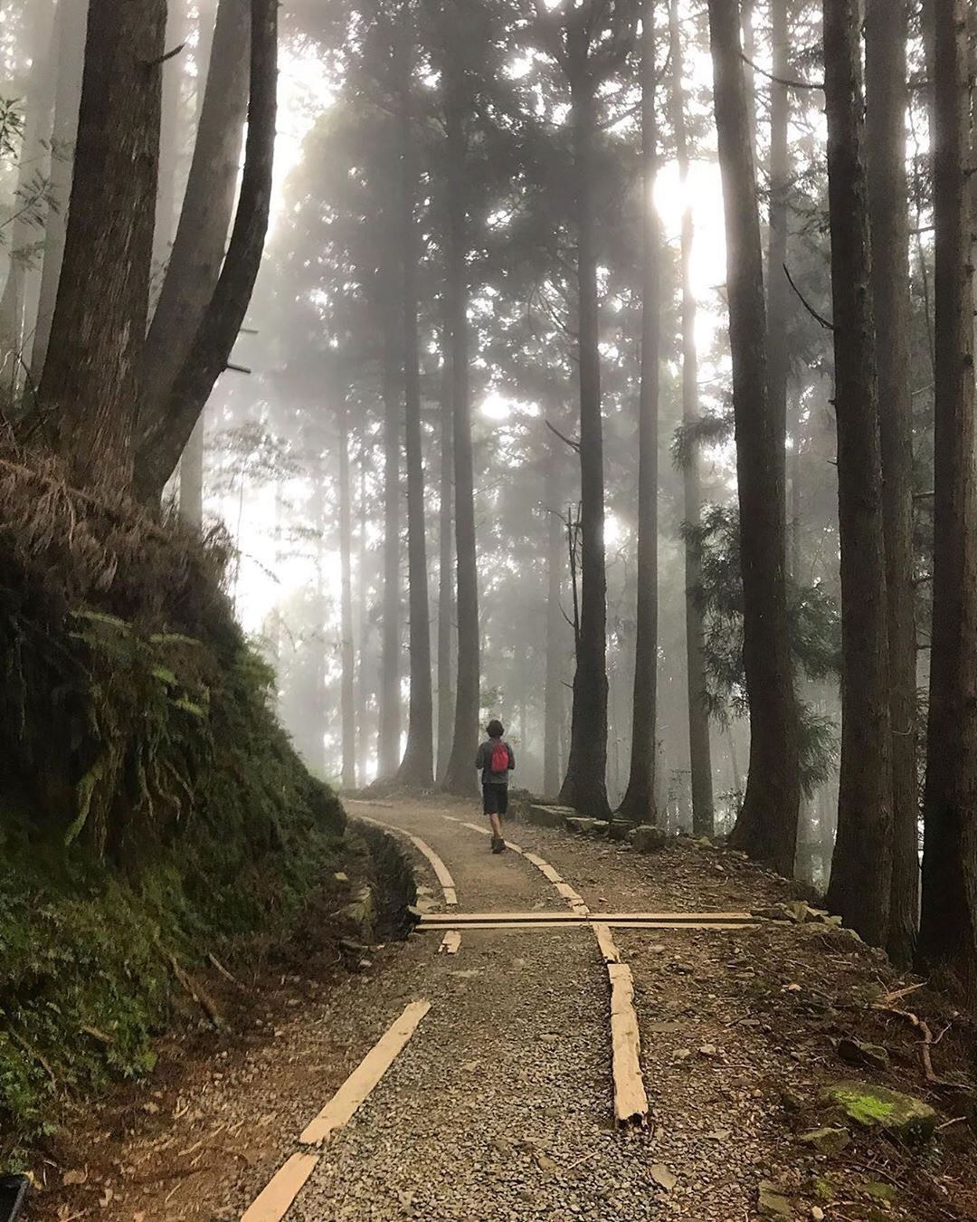 ⠀⠀⠀⠀⠀⠀⠀⠀⠀⠀⠀特富野古道深不可測的古道體驗‍♀️值得你前來一探究竟❤️- ⠀⠀⠀⠀⠀⠀⠀⠀⠀⠀⠀⠀感謝 @taotaiwa...
