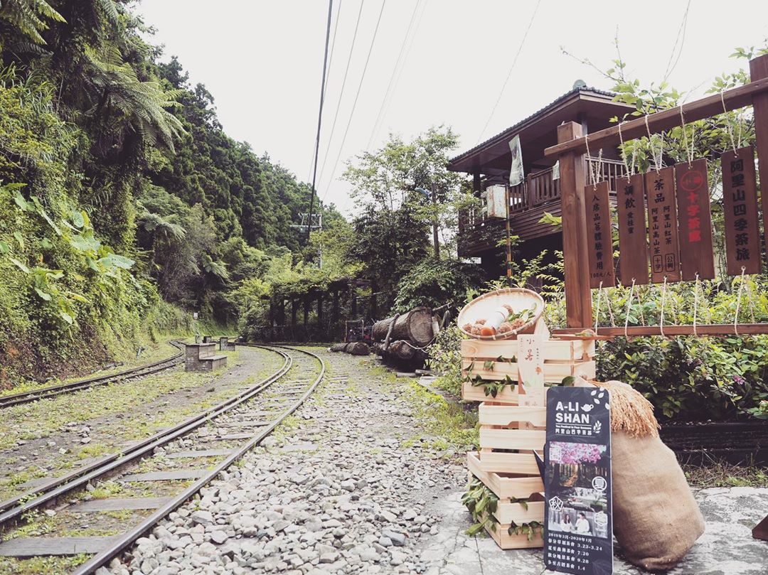 阿里山四季茶旅-夏季森林茶會十字路車站茶席與鐵道有約❤️- ⠀⠀⠀⠀⠀⠀⠀⠀⠀⠀⠀⠀感謝 ⛰️編 分享的美照⛰️-⠀⠀⠀⠀⠀⠀⠀⠀...