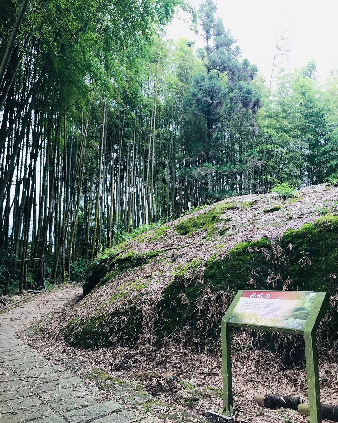 聽說沿著龍珠石走一圈會帶來好運- ⠀⠀⠀⠀⠀⠀⠀⠀⠀⠀⠀⠀感謝 @⛰️編 分享的美照⛰️-⠀⠀⠀⠀⠀⠀⠀⠀⠀⠀⠀⠀ #travel...