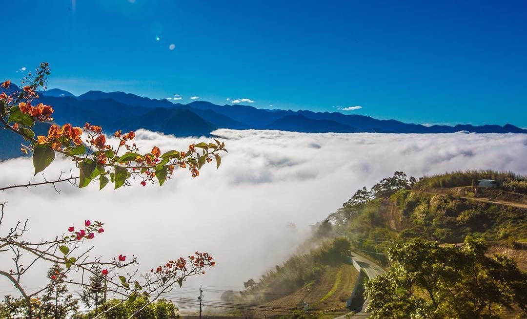 看到這美景，編編突然想到賈島的一句詩「只在此山中，雲深不知處」-⠀⠀⠀⠀⠀⠀⠀⠀⠀⠀⠀⠀感謝 @ljtaiwanphoto 分享的...